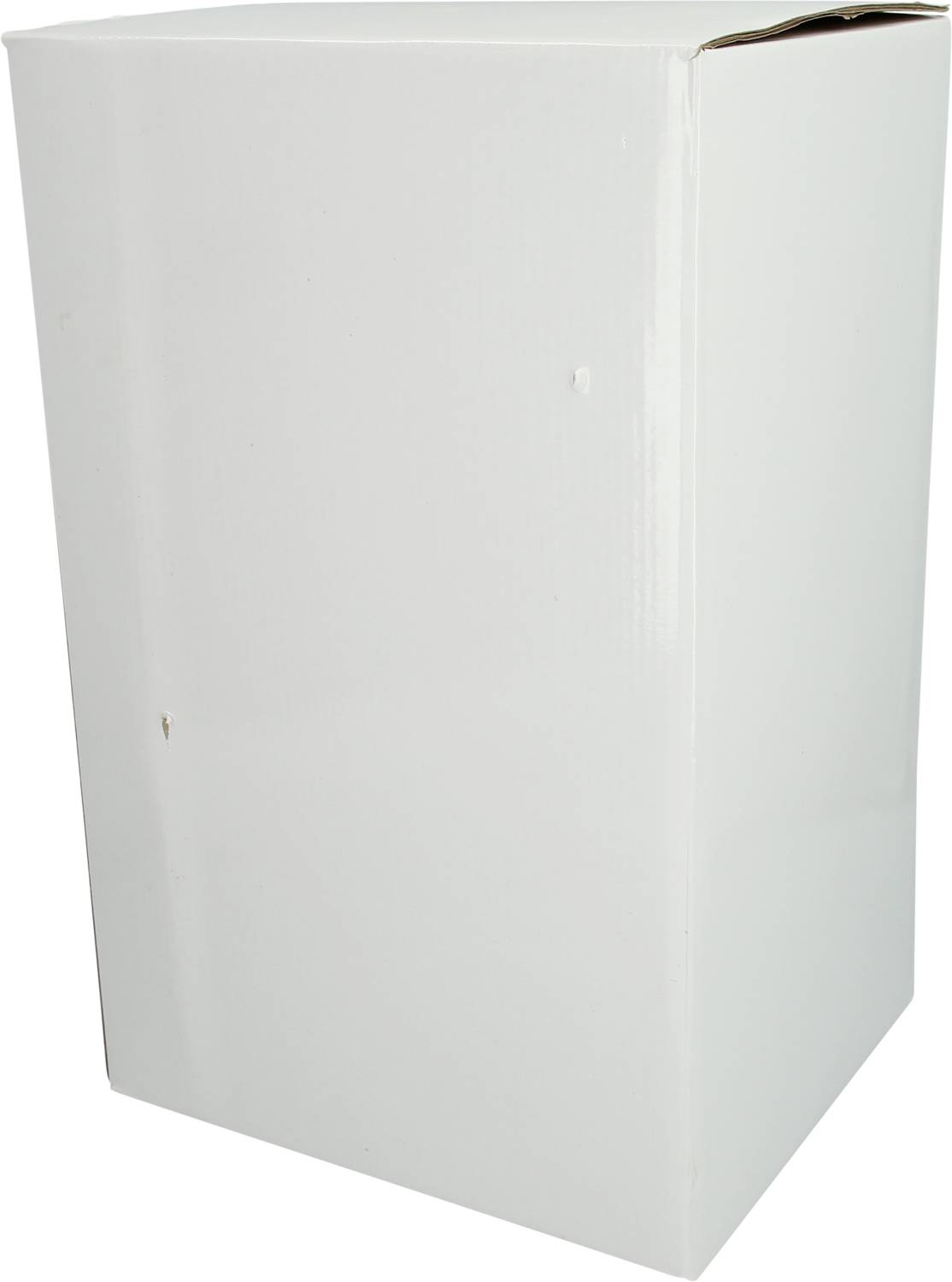 Weiße, aufrecht stehende Pappkiste mit geschlossenen Klappen.