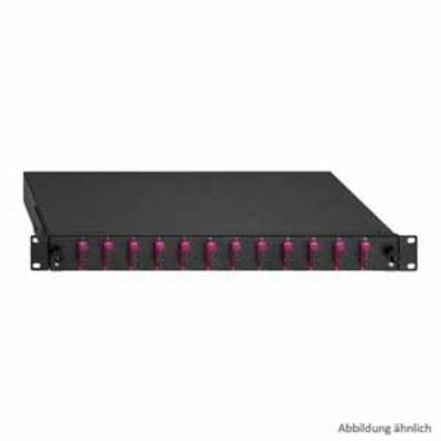 Schwarzes Rackmount-Gerät mit mehreren lila Ports auf der Vorderseite, zur Befestigung in einem Server-Rack.