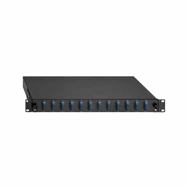 Ein schwarzer Netzwerkswitch mit 12 blauen Anschlussports, montierbar in einem Server-Rack.