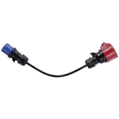 Ein schwarzes Kabel verbindet einen blauen Stecker mit einer roten Buchse, beide an den Enden des Kabels befestigt.