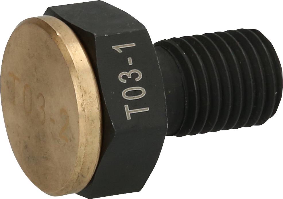 Schraube mit goldfarbener Kopfplatte, schwarzem Gewinde und eingravierter Nummer '103-1'. Objektdetailansicht aus seitlicher Perspektive.