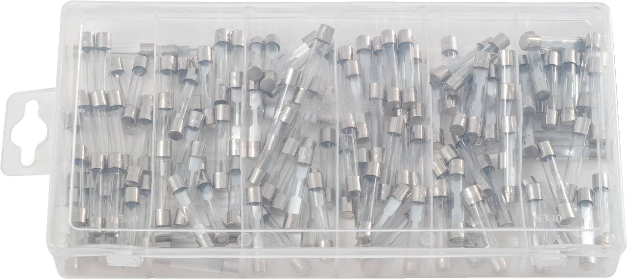 Eine transparente Plastikbox enthält zahlreiche zylindrische Glassicherungen mit Metallkappen.