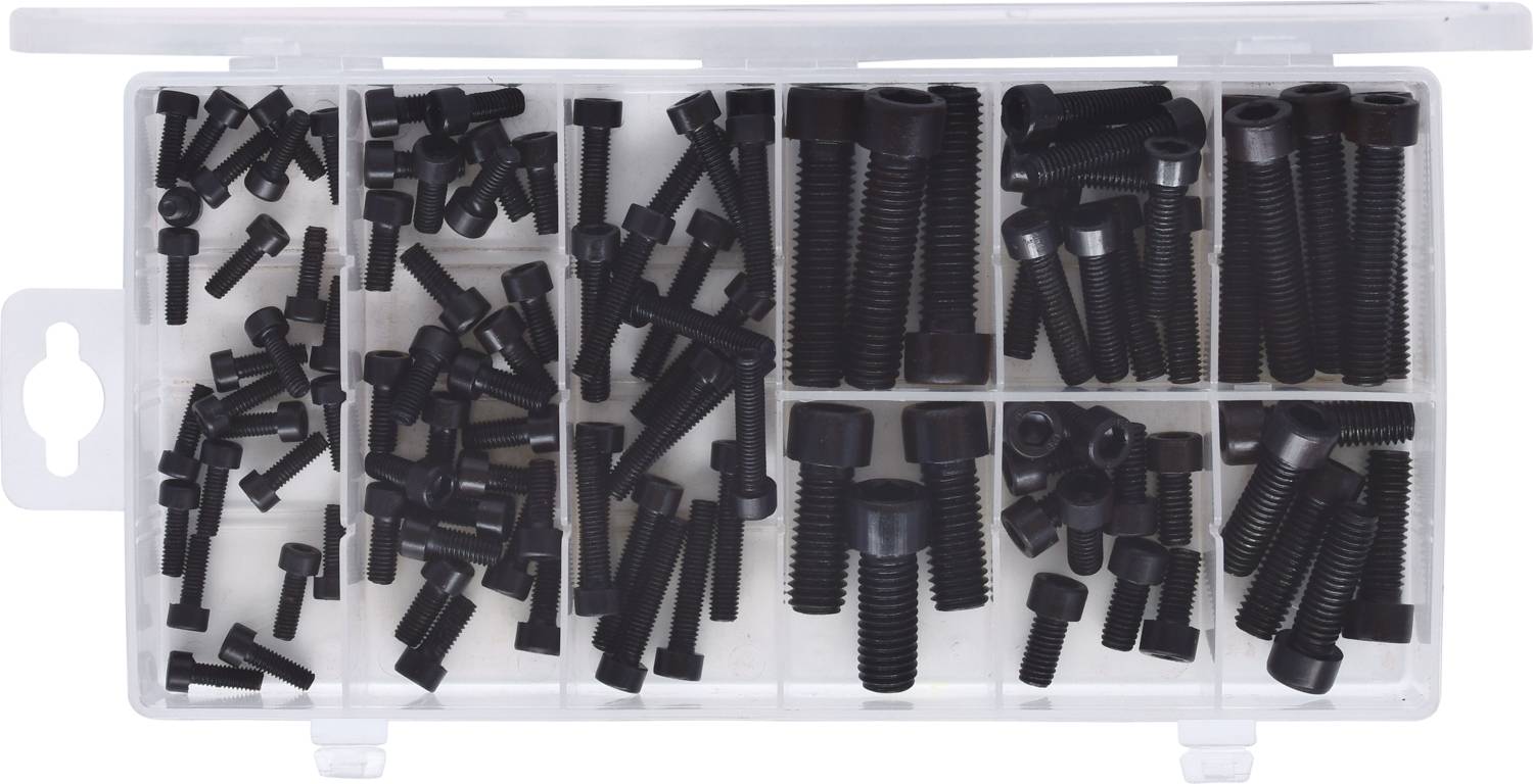 Verschiedene schwarze Schrauben in einem transparenten Kunststoffkasten mit sechs Fächern, ordentlich sortiert nach Größe und Typ.