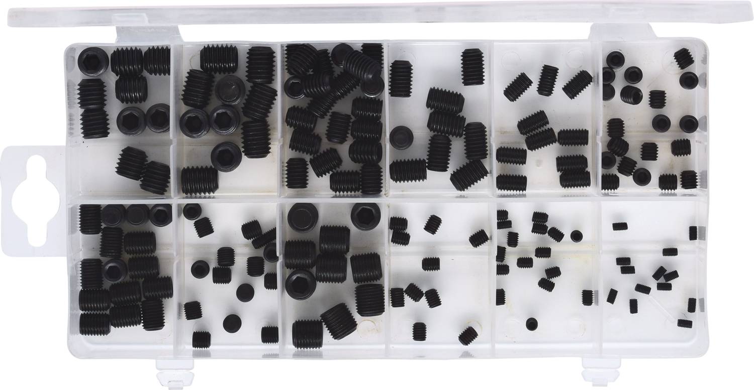 Ein durchsichtiges Kunststofffach mit mehreren schwarzen Schrauben und Muttern in verschiedenen Größen sortiert.