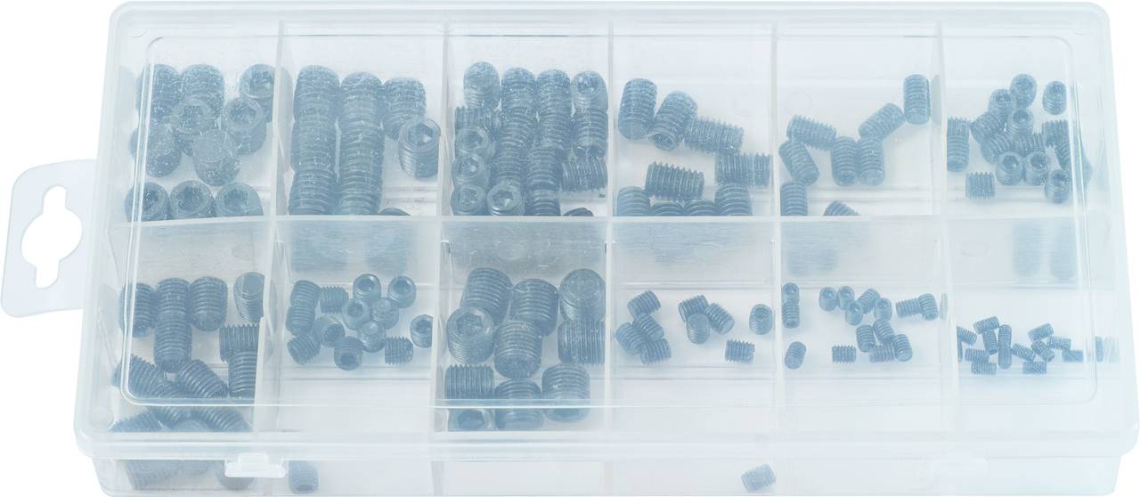 Kunststoffbox mit mehreren Fächern, gefüllt mit verschiedenen kleinen Metallteilen wie Schrauben.