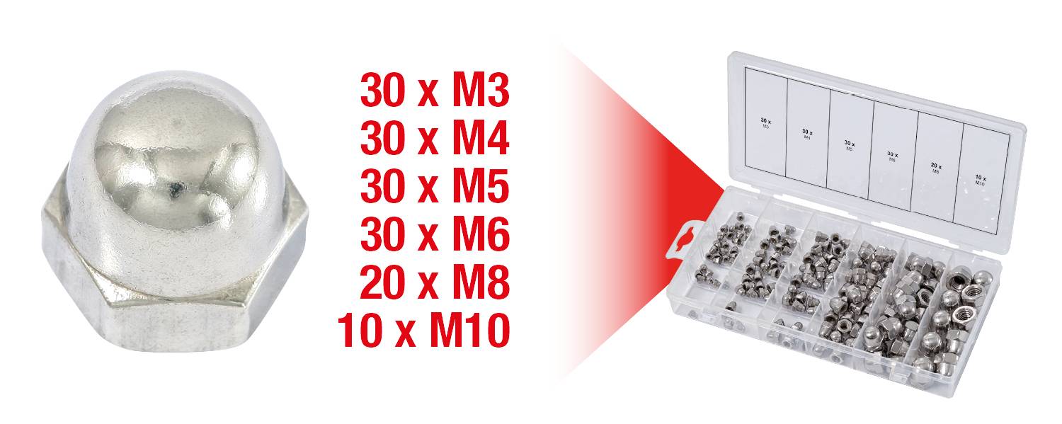 'Sortimentskasten mit Sechskantmuttern: 30x M3, 30x M4, 30x M5, 30x M6, 20x M8, 10x M10.'