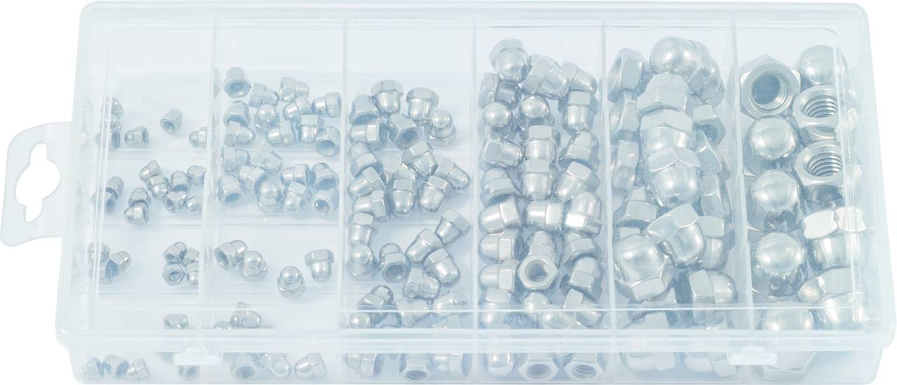 Eine transparente Box mit verschiedenen Größen von Sechskantmuttern, jeweils in separaten Fächern angeordnet.