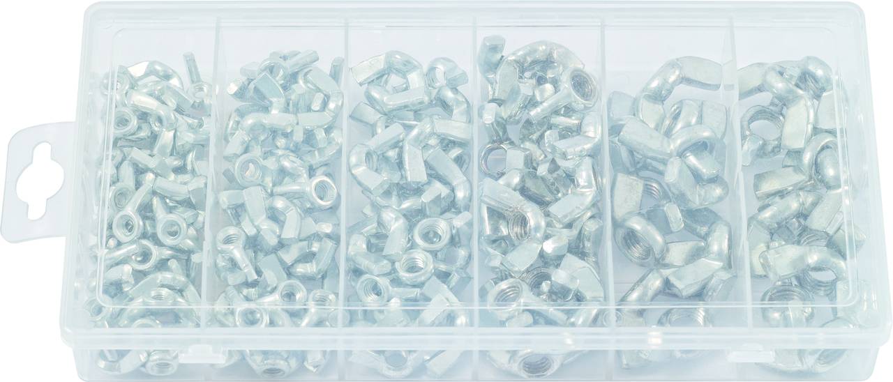 Eine Kunststoffbox mit verschiedenen Metallschrauben und Muttern in sechs Fächern, von links nach rechts sortiert.