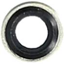 Ein silberner Ring mit schwarzer Gummidichtung in der Mitte, möglicherweise eine Unterlegscheibe mit Dichtfunktion.