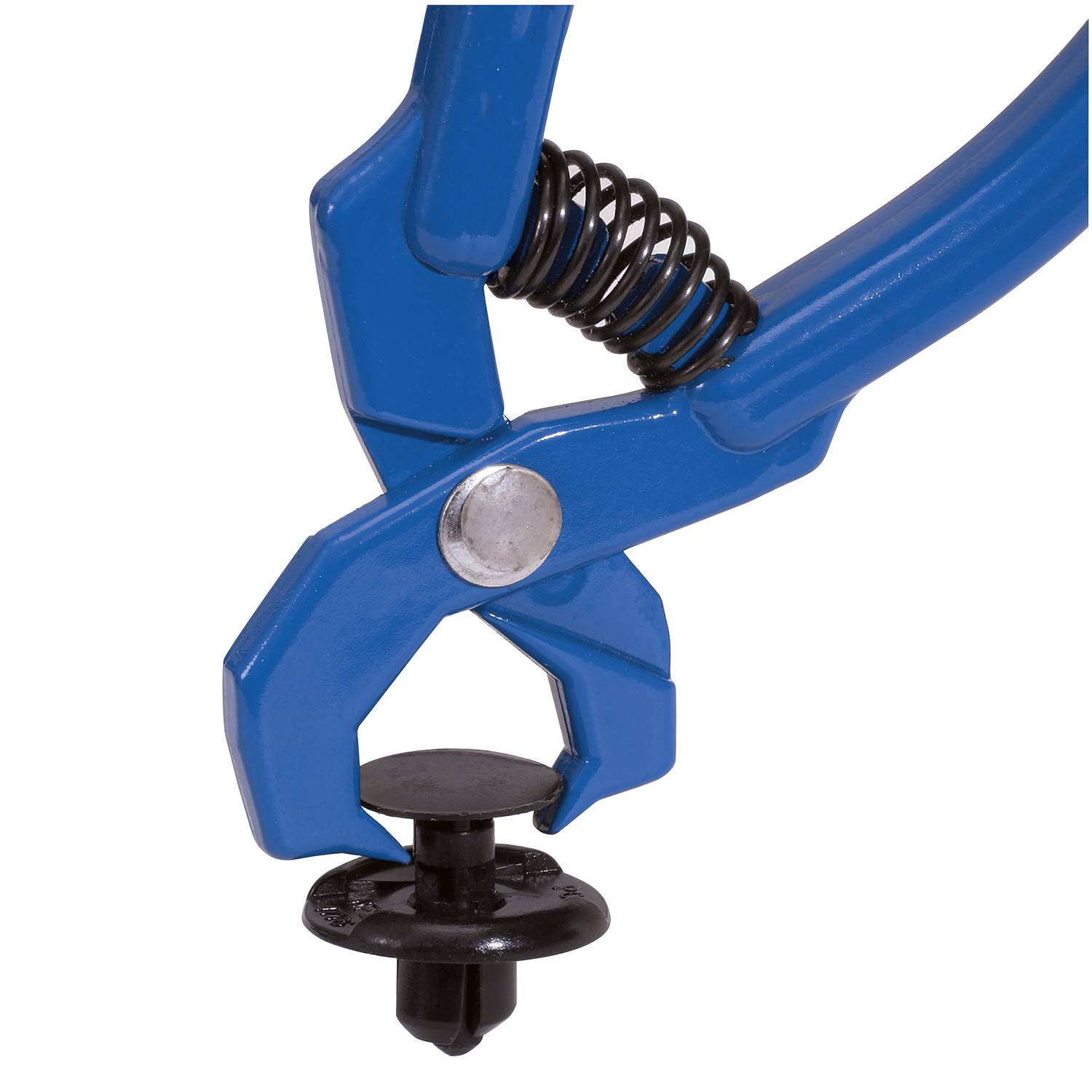 Blaue Zange mit Federmechanismus greift schwarzen Befestigungsclip. Werkzeug zum Entfernen von Clips aus Automobilverkleidungen.