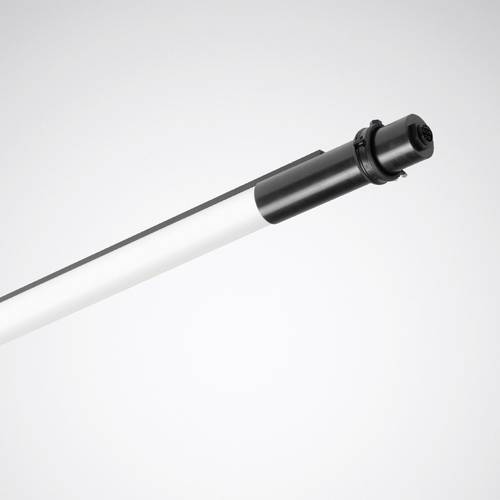 Trilux 7797151 So-Tube G3 D LED-Deckenleuchte LED 15 W Grau