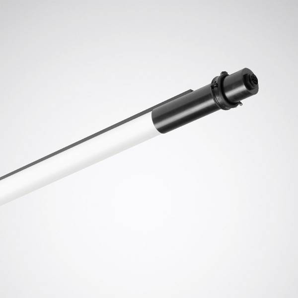Trilux 7797151 So-Tube G3 D LED-Deckenleuchte LED LED fest eingebaut  15 W Grau