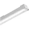 Trilux OleveonF12 L LED-Feuchtraumleuchte LED LED fest eingebaut 47 W Grau