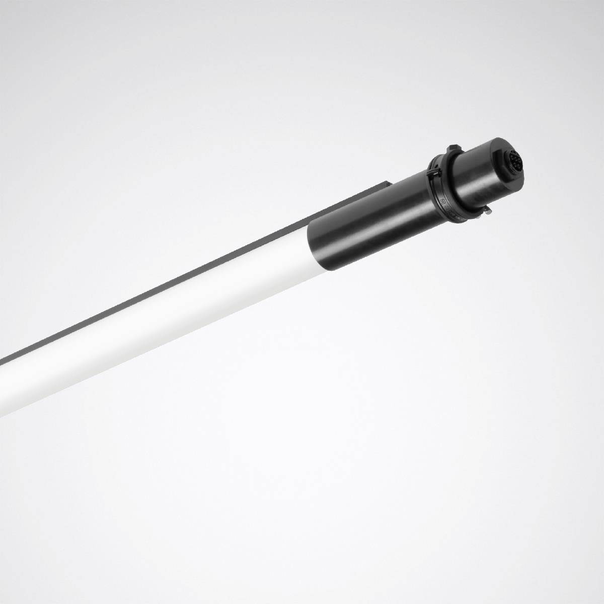 Trilux 7796751 So-Tube G3 D LED-Deckenleuchte LED 28 W Grau