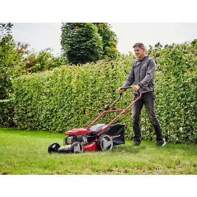 Eine Person mäht den Rasen im Garten mit einem roten Rasenmäher. Im Hintergrund ist eine hohe Hecke und einige Bäume zu sehen.