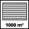 'Rechteck mit diagonalen Linien, Fläche von 1000 Quadratmetern.'