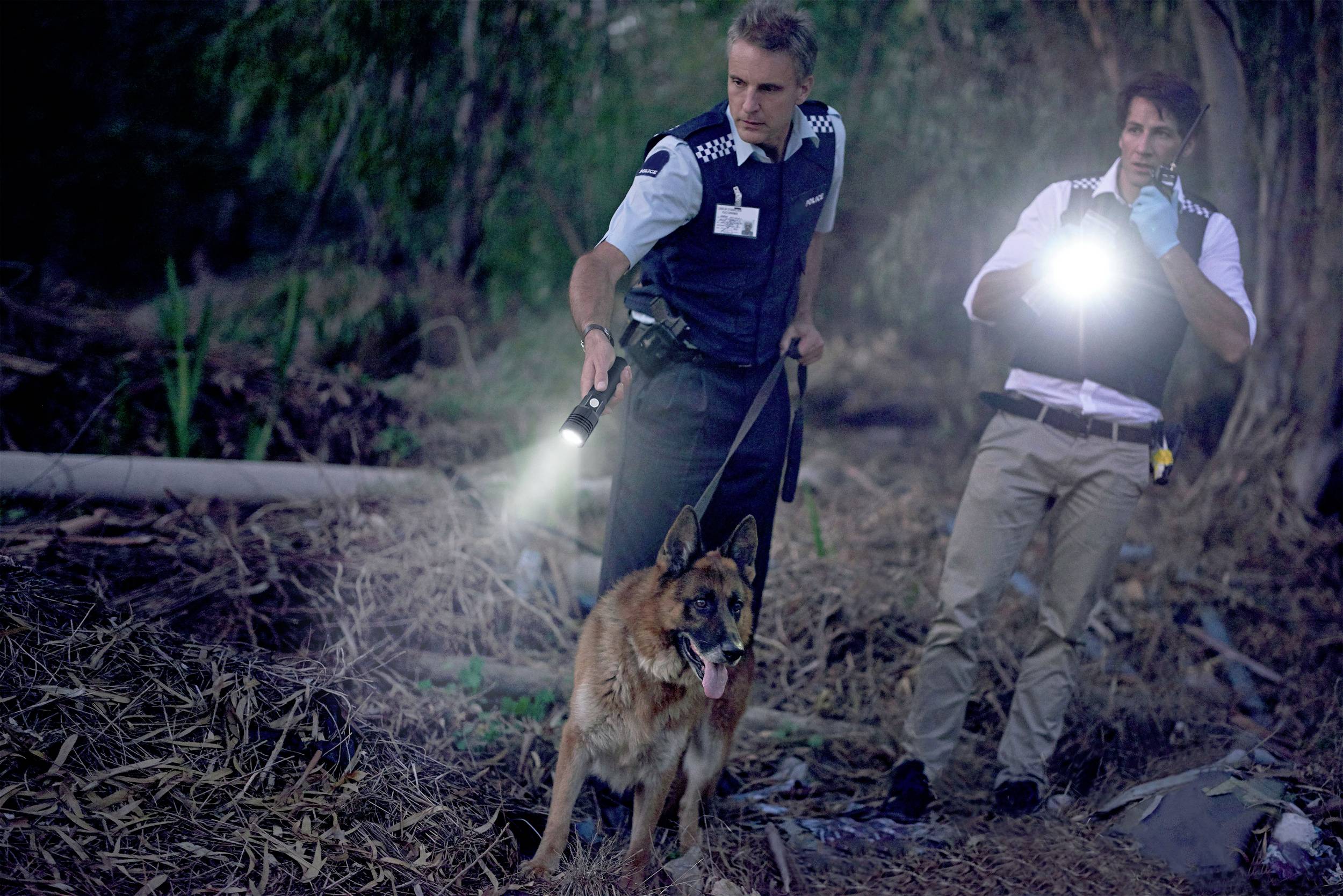 Zwei Polizisten mit Taschenlampen und einem Spürhund durchsuchen nachts einen bewaldeten Bereich.