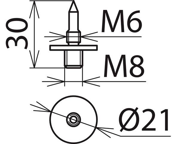 Technische Zeichnung eines Bolzens mit Bezeichnungen: 'Ø21', 'M6', 'M8', und Höhe '30'. Zeigt Seiten- und Draufsicht des Bolzens.