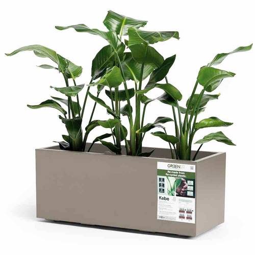 euro3plast Greener KEBE 3154.G9 Pflanzkasten Kunststoff Taupe