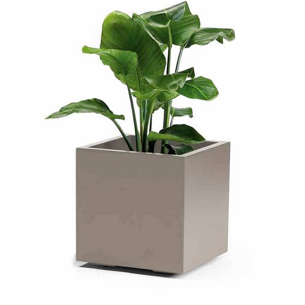 euro3plast Greener KEBE 3157.G9 Pflanzkasten Kunststoff Taupe