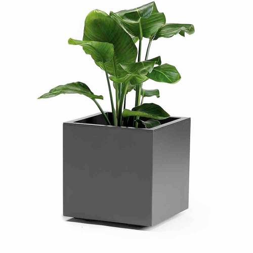 euro3plast Greener KEBE 3157.62 Pflanzkasten Kunststoff Anthrazit