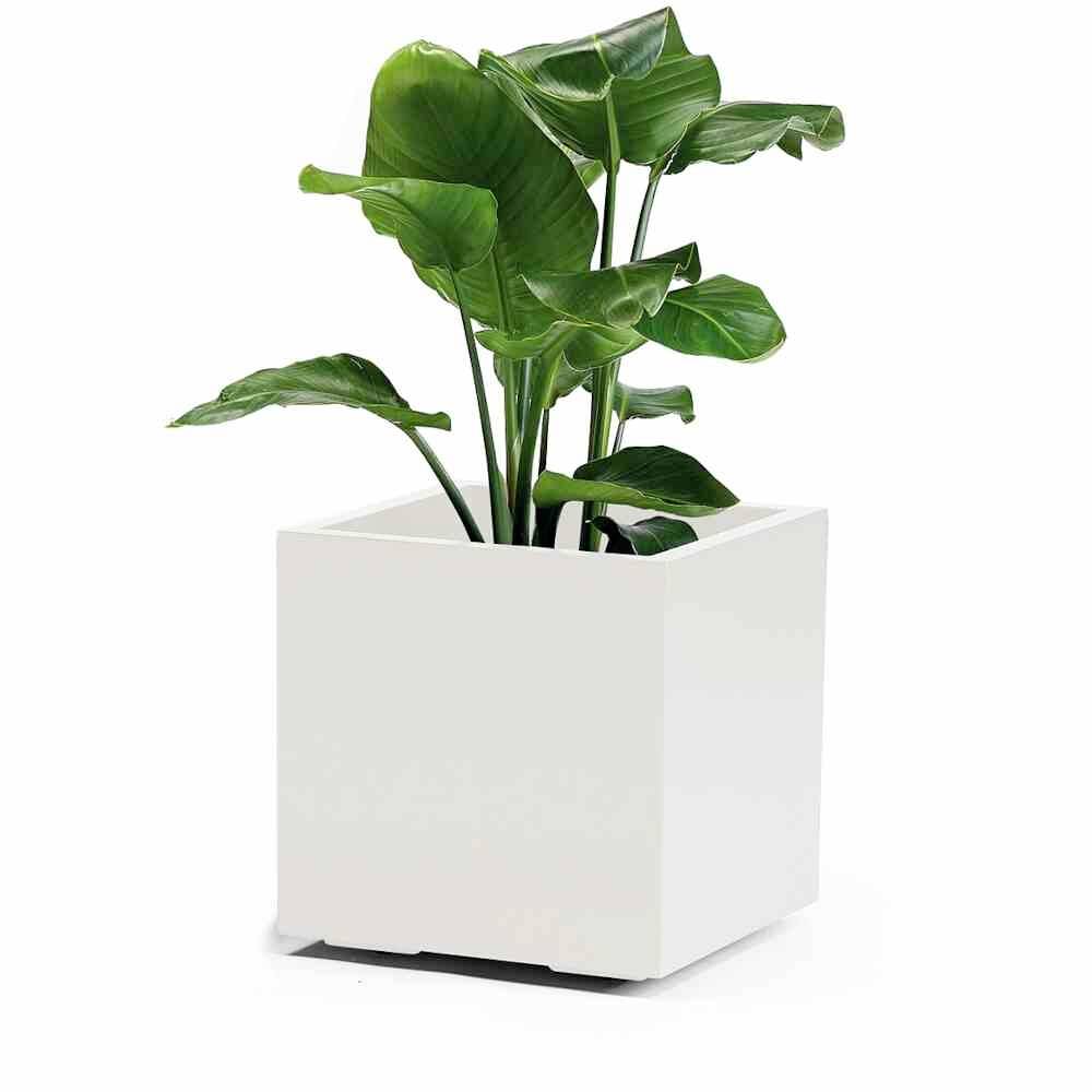 euro3plast Greener KEBE 3157.03 Pflanzkasten Kunststoff Weiß