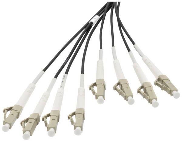 Digitus DK-24338U030BK-BBB Glasfaser LWL Anschlusskabel 30 m Schwarz [8x LC/UPC-Stecker - 8x LC/UPC-Stecker] 50/125 µ Multimode OM4