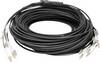 Digitus DK-24338U075BK-BBB Glasfaser LWL Anschlusskabel 75 m Schwarz [8x LC/UPC-Stecker - 8x LC/UPC-Stecker] 50/125 µ Multimode OM4
