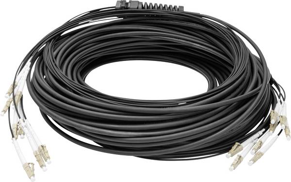 Digitus DK-24338U100BK-BBB Glasfaser LWL Anschlusskabel 100 m Schwarz [8x LC/UPC-Stecker - 8x LC/UPC-Stecker] 50/125 µ Multimode OM4