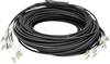 Digitus DK-2433CU050BK-BBB Glasfaser LWL Anschlusskabel 50 m Schwarz [12x LC/UPC-Stecker - 12x LC/UPC-Stecker] 50/125 µ Multimode OM4