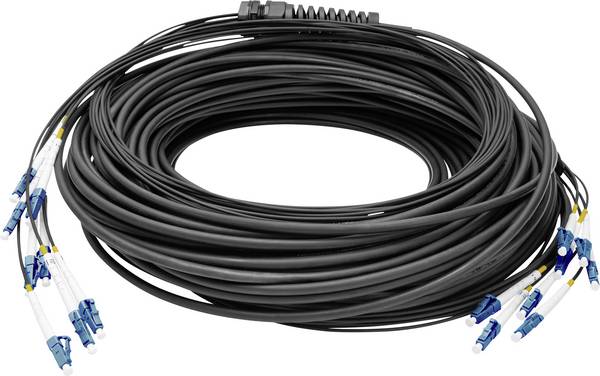 Digitus DK-2A338U050BK-BBB Glasfaser LWL Anschlusskabel 50 m Schwarz [8x LC/UPC-Stecker - 8x LC/UPC-Stecker] 9/125 µ Singlemode OS2