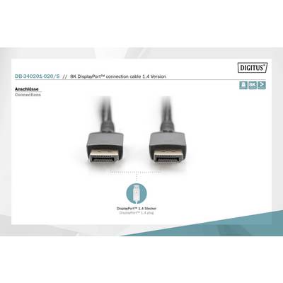 '8K DisplayPort 1.4 Stecker'. Zwei DisplayPort-Anschlüsse mit 8K-Kompatibilität. Produktname und Spezifikationen oben angezeigt.