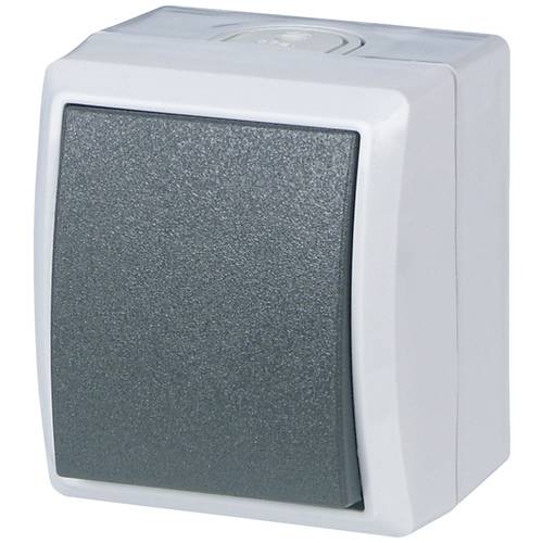 REV Komplett Ausschalter, Wechselschalter AquaForm Hellgrau 0511581777 1 St.