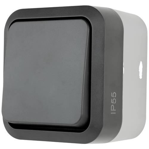 REV Komplett Wechselschalter AquaStorm Hellgrau, Schwarz 0004300400 1 St.