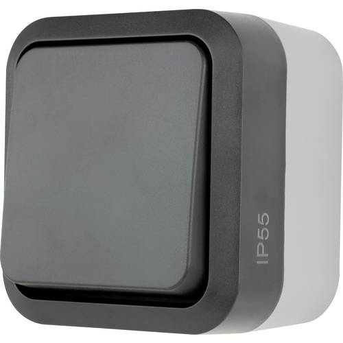 REV Komplett Taster AquaStorm Hellgrau, Schwarz 0004310400 1 St.