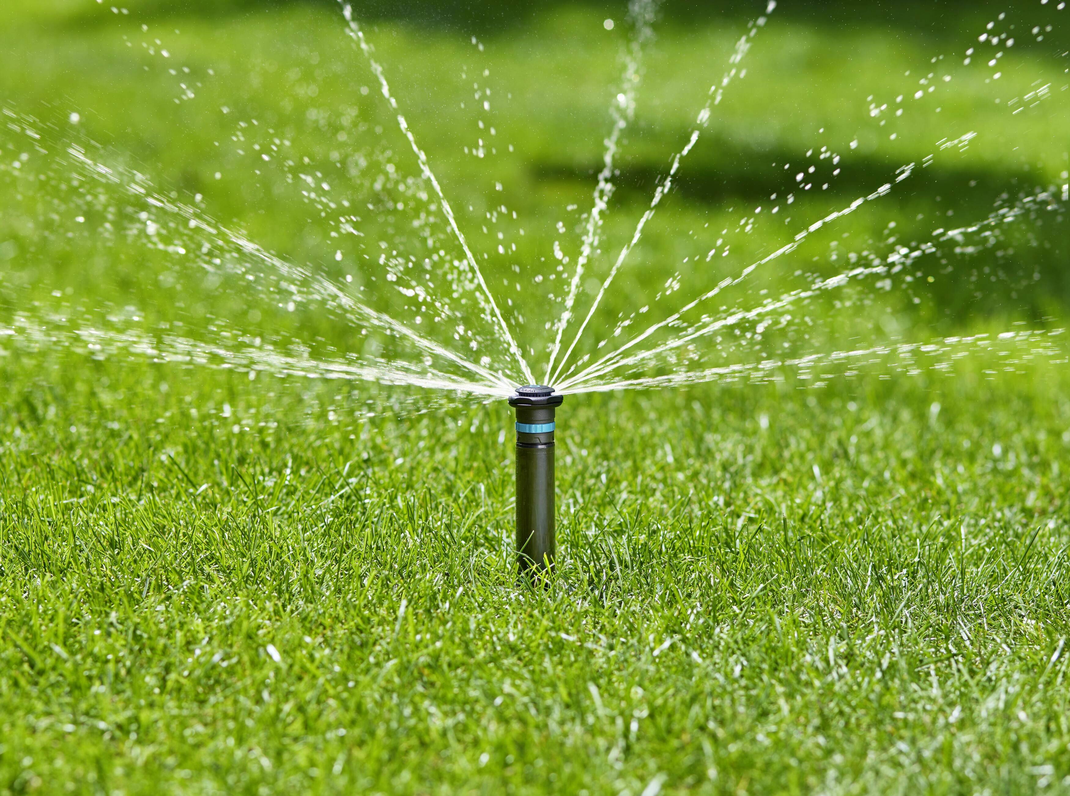 Rasen wird von einem aktiven Sprinkler bewässert, Wasserstrahlen spritzen gleichmäßig in alle Richtungen, grünes Gras umgeben.