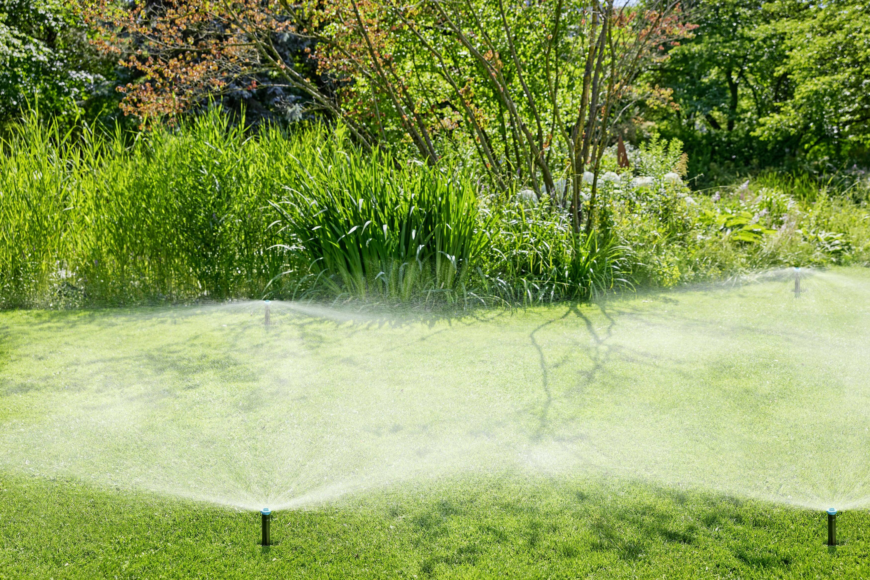 Rasen im Garten wird von automatischen Sprinklern bewässert. Im Hintergrund steht dichtes grünes Laubwerk.