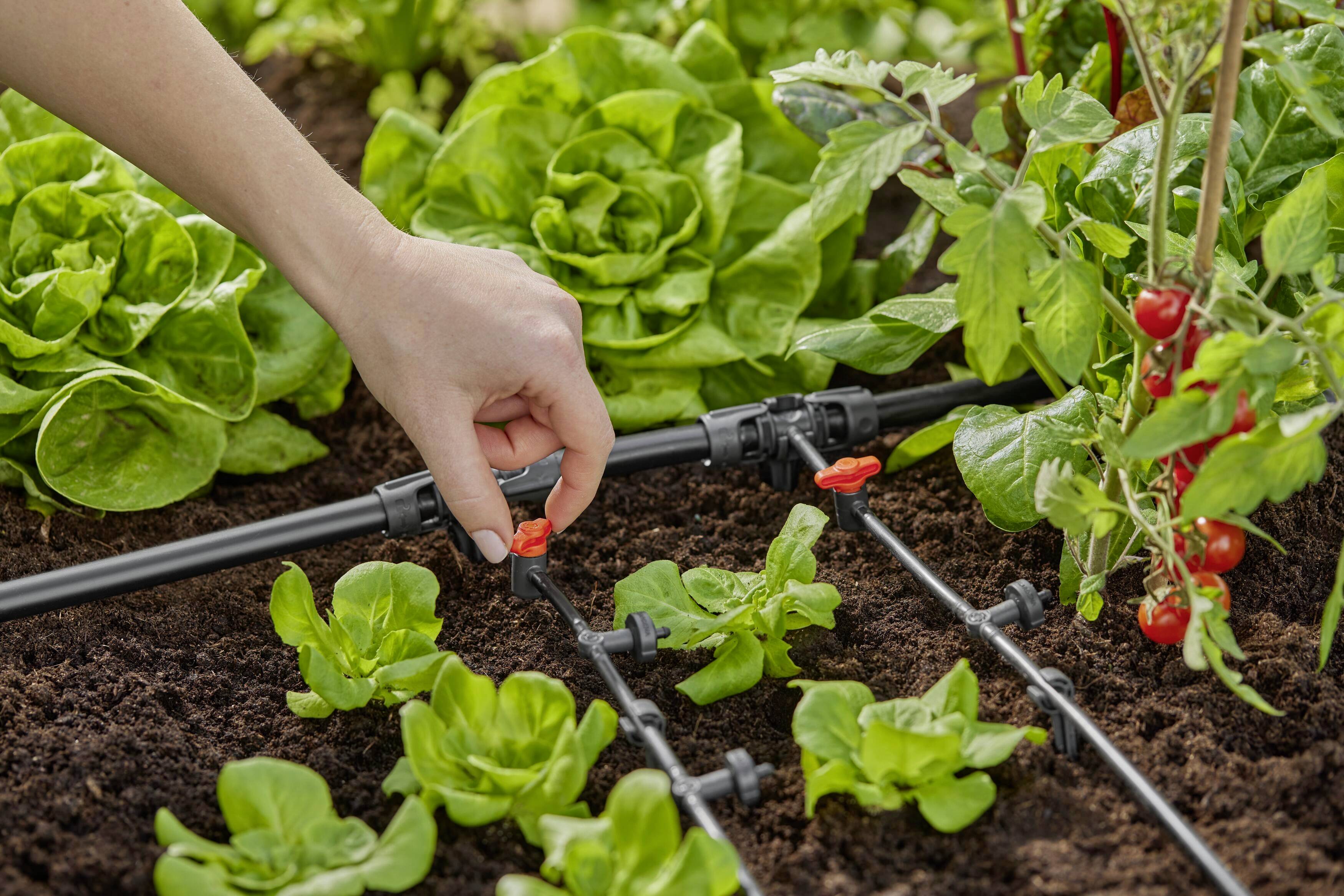 GARDENA Micro-Drip System 13302-20 Reihentropfer 4,6 mm (3/16")-5