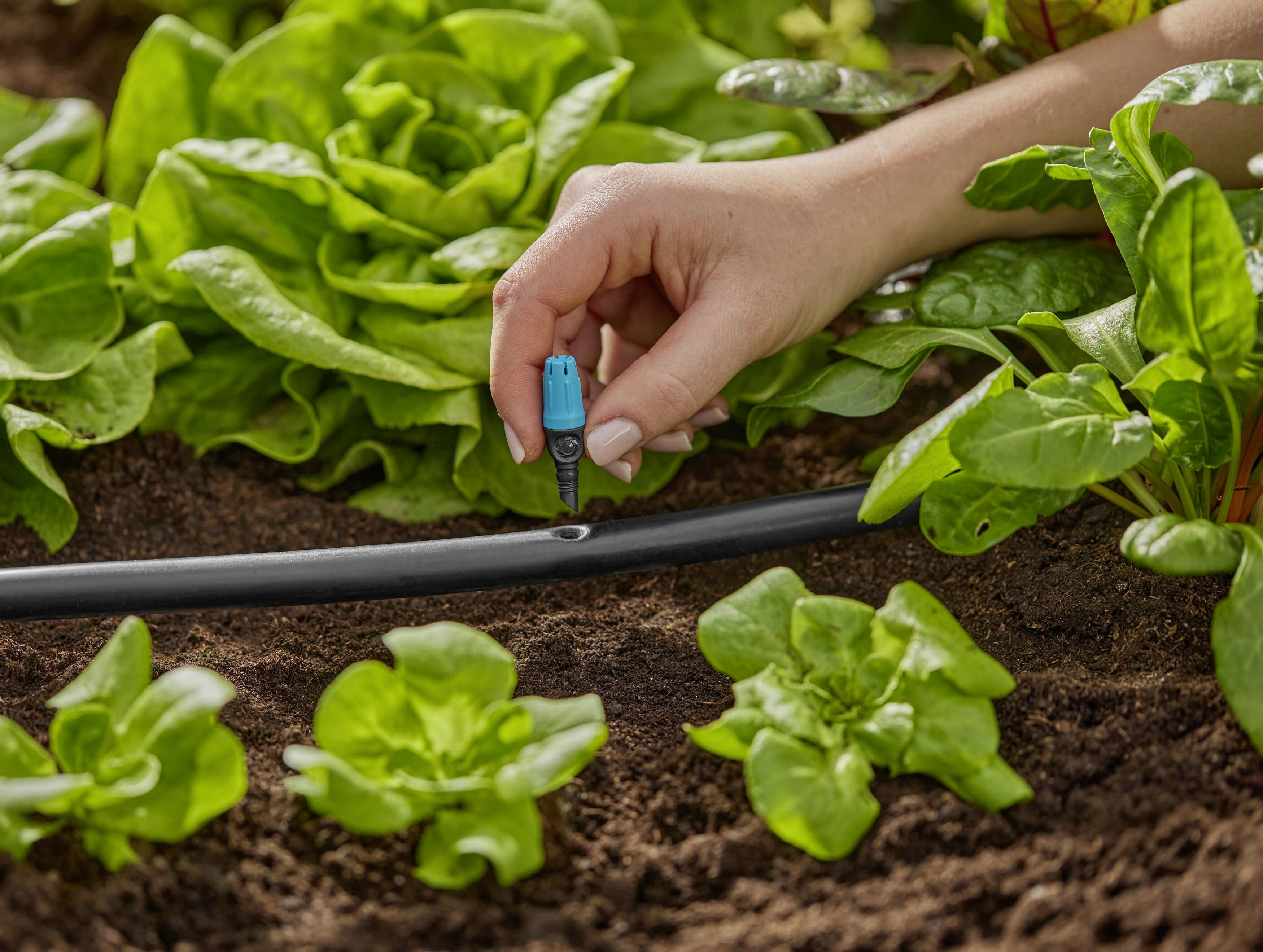 GARDENA Micro-Drip System 13306-20 Endkleinflächendüse 13 mm (1/2") Ø-2