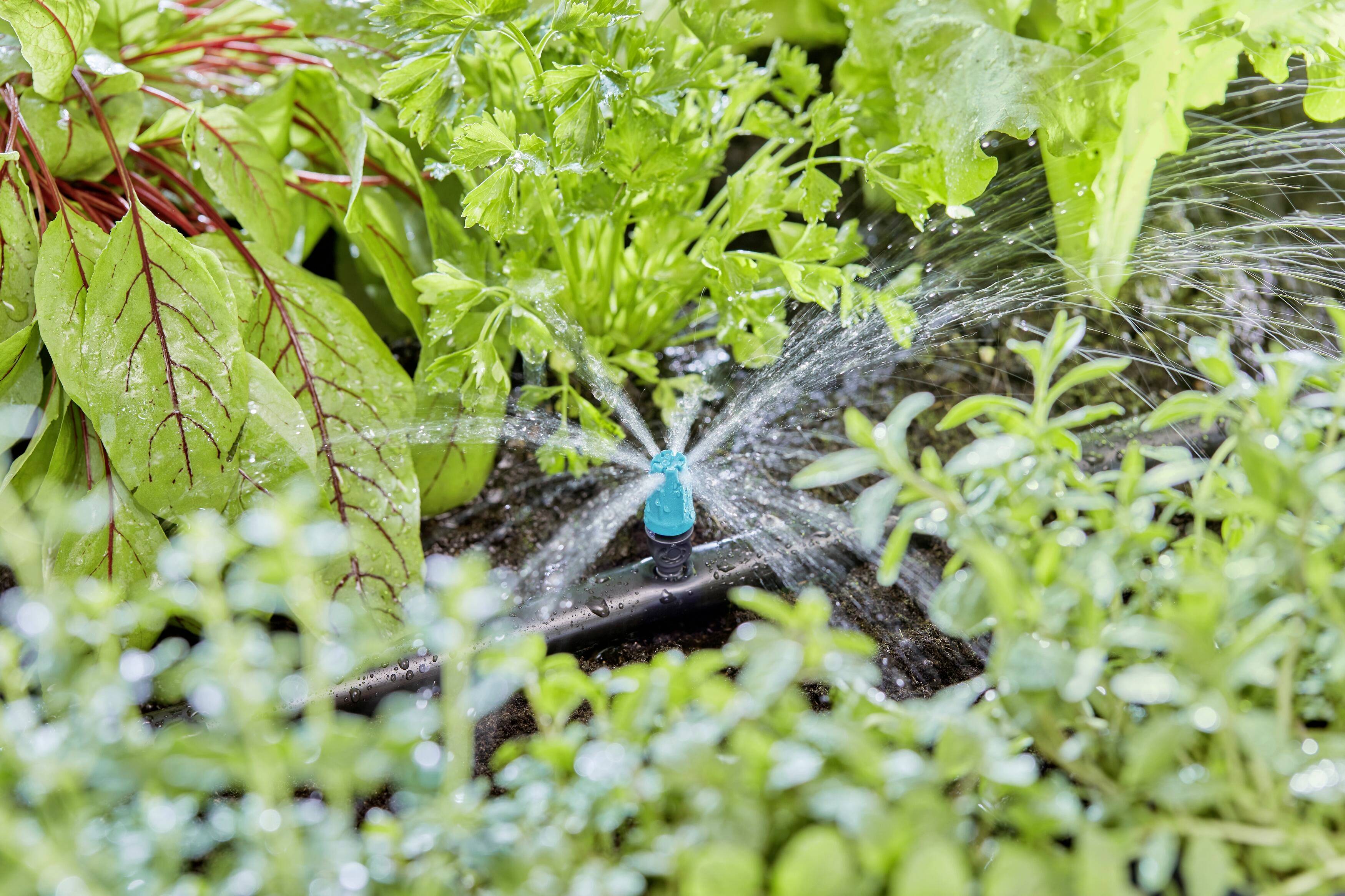 GARDENA Micro-Drip System 13306-20 Endkleinflächendüse 13 mm (1/2") Ø-5