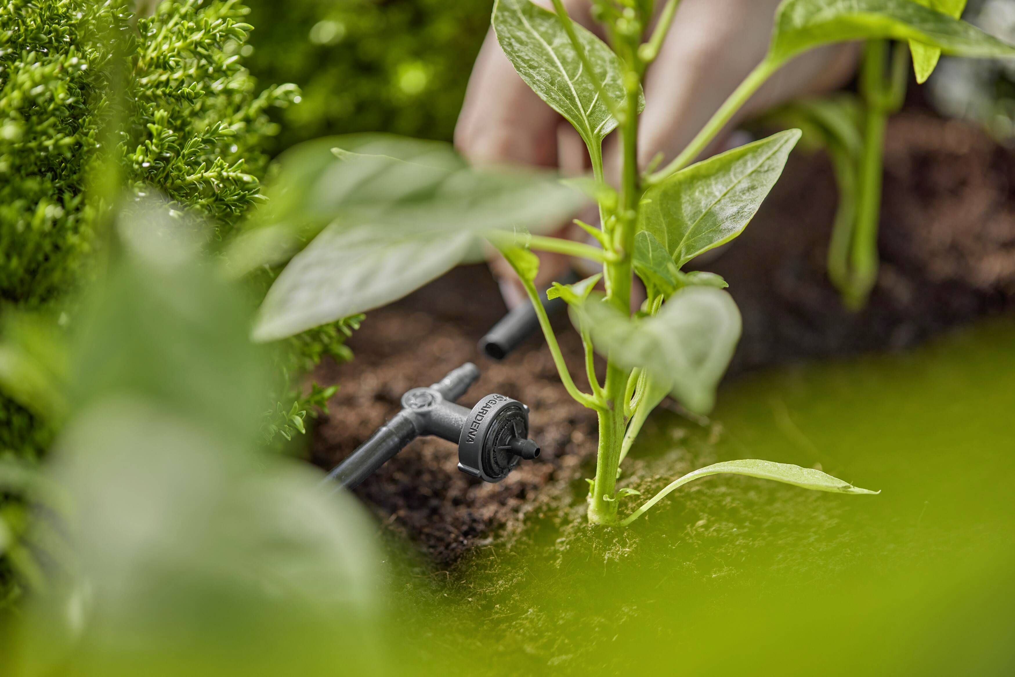 GARDENA Micro-Drip System 13312-20 Reihentropfer 4,6 mm (3/16")-2