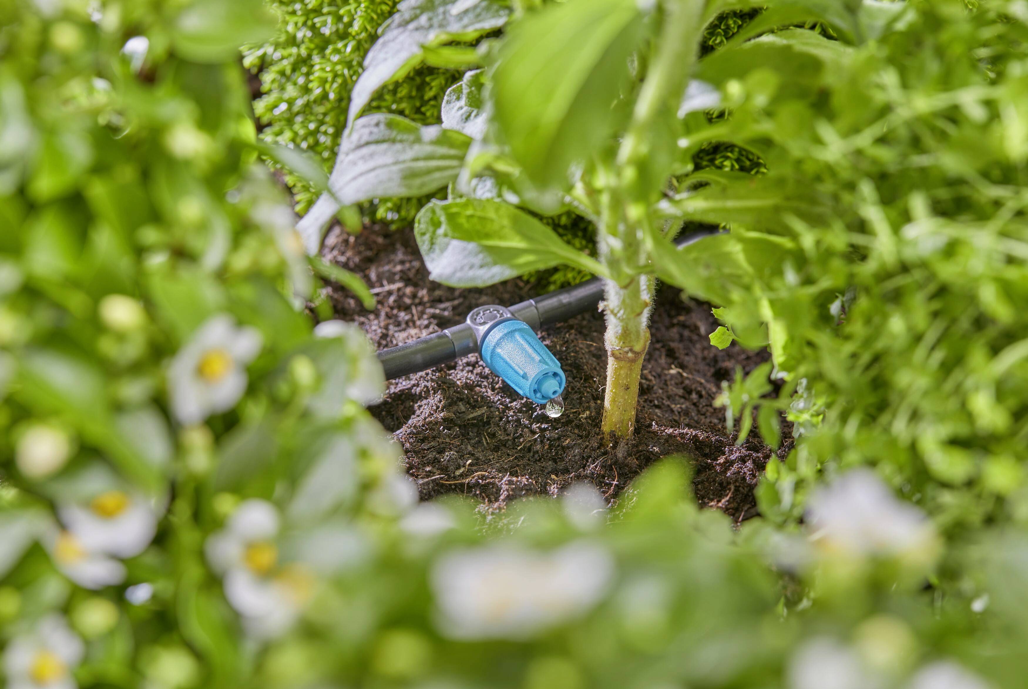 GARDENA Micro-Drip System 13315-20 Reihentropfer 4,6 mm (3/16")-2