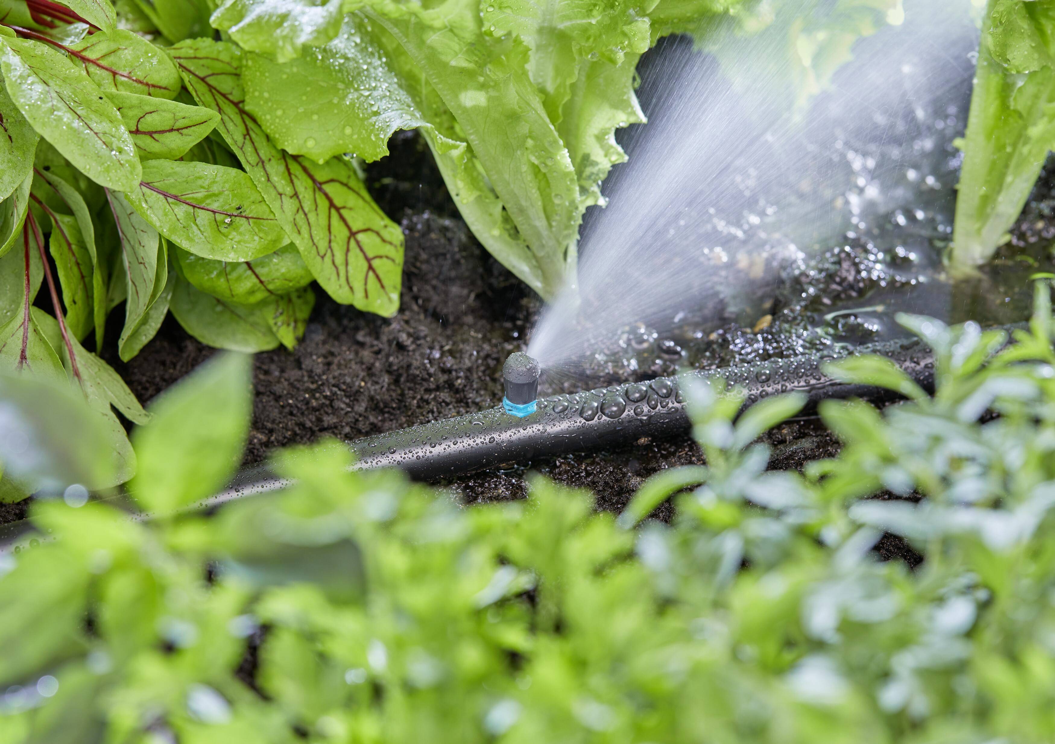 GARDENA Micro-Drip System 13318-20 Endstreifendüse 13 mm (1/2") Ø-5