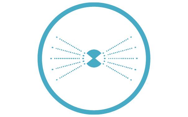 GARDENA Micro-Drip System 13319-20 Streifendüse 13 mm (1/2") Ø-8