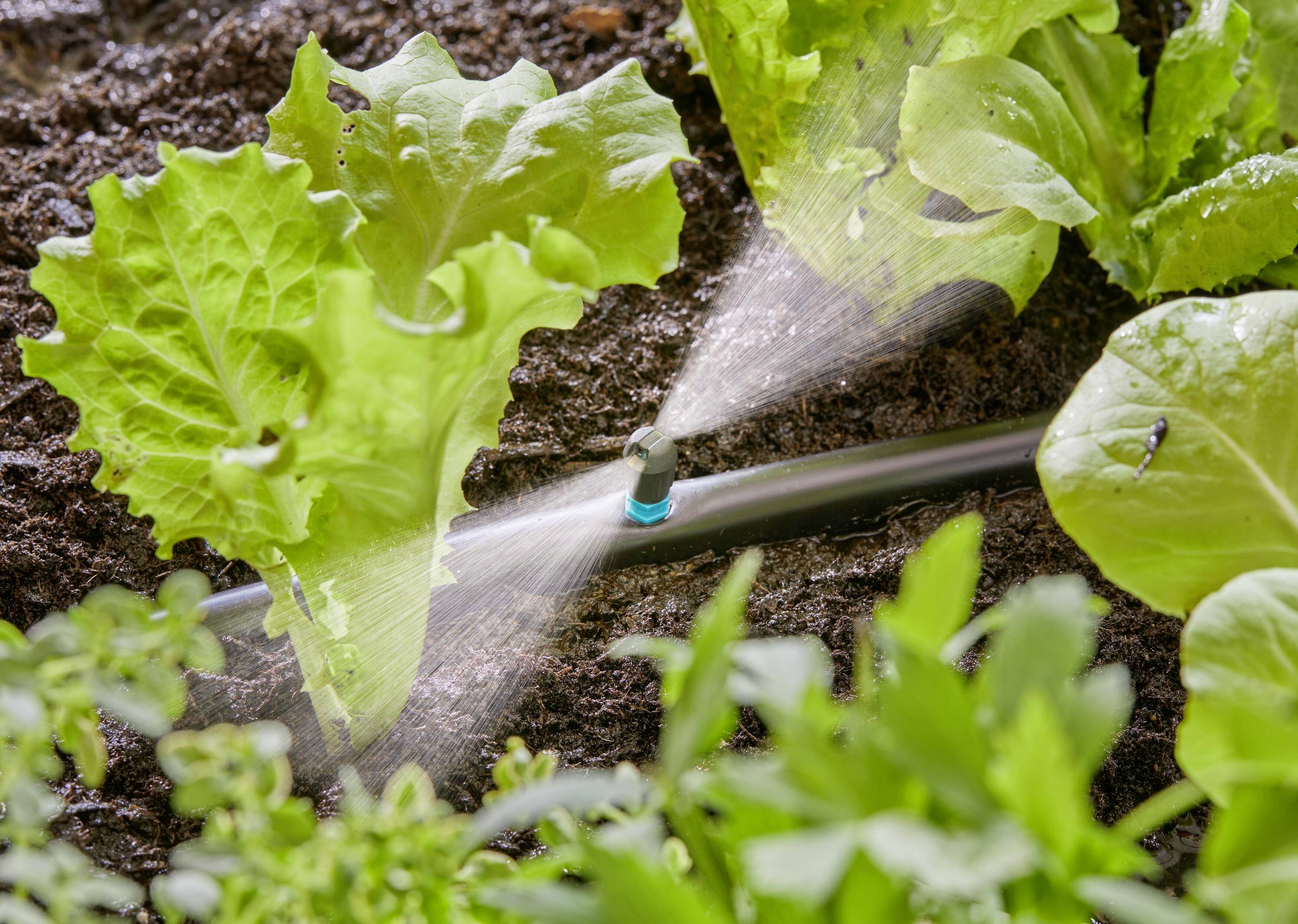 GARDENA Micro-Drip System 13319-20 Streifendüse 13 mm (1/2") Ø-5