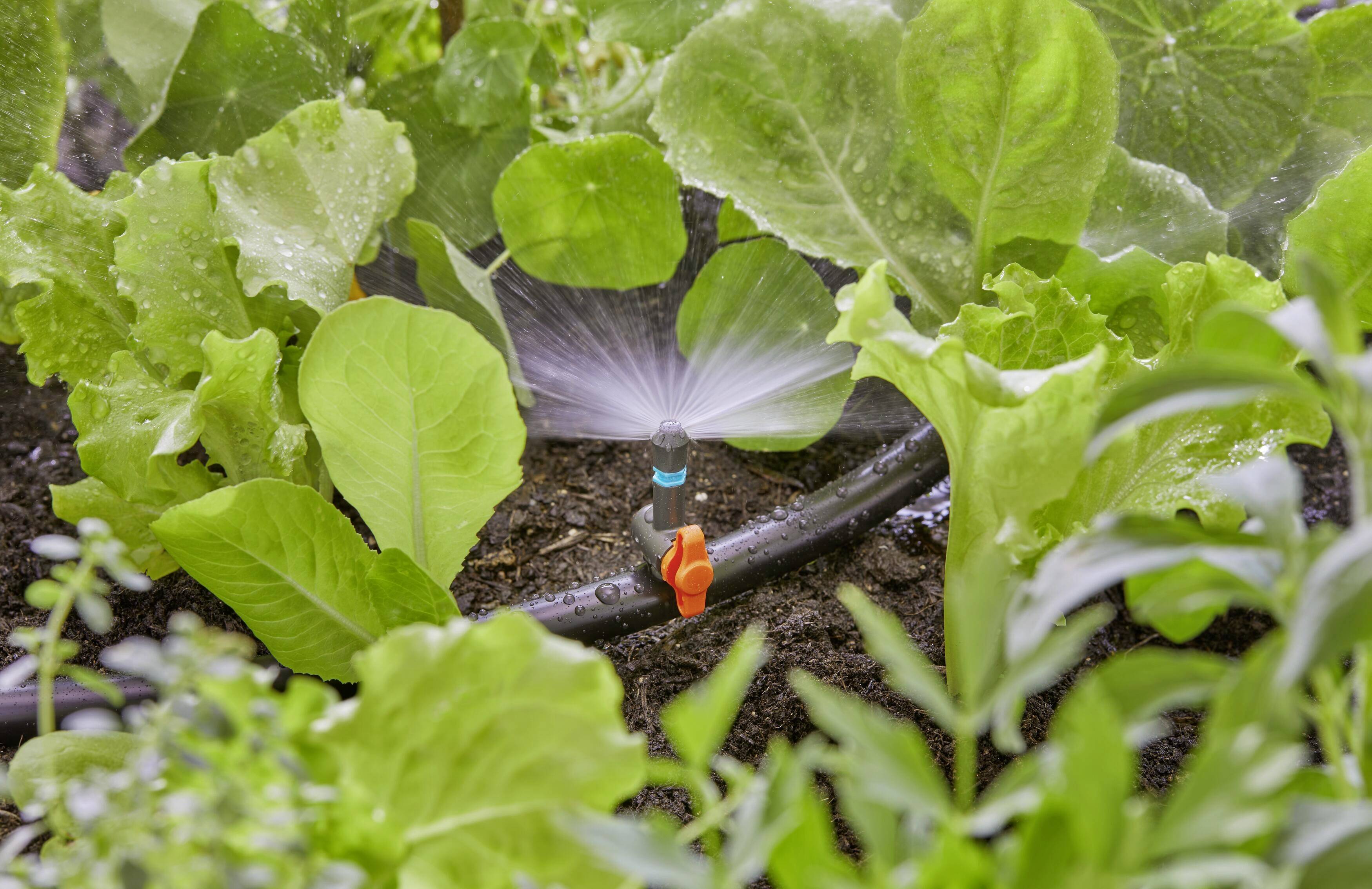 GARDENA Micro-Drip System 13321-20 Sprühdüse 13 mm (1/2") Ø-5