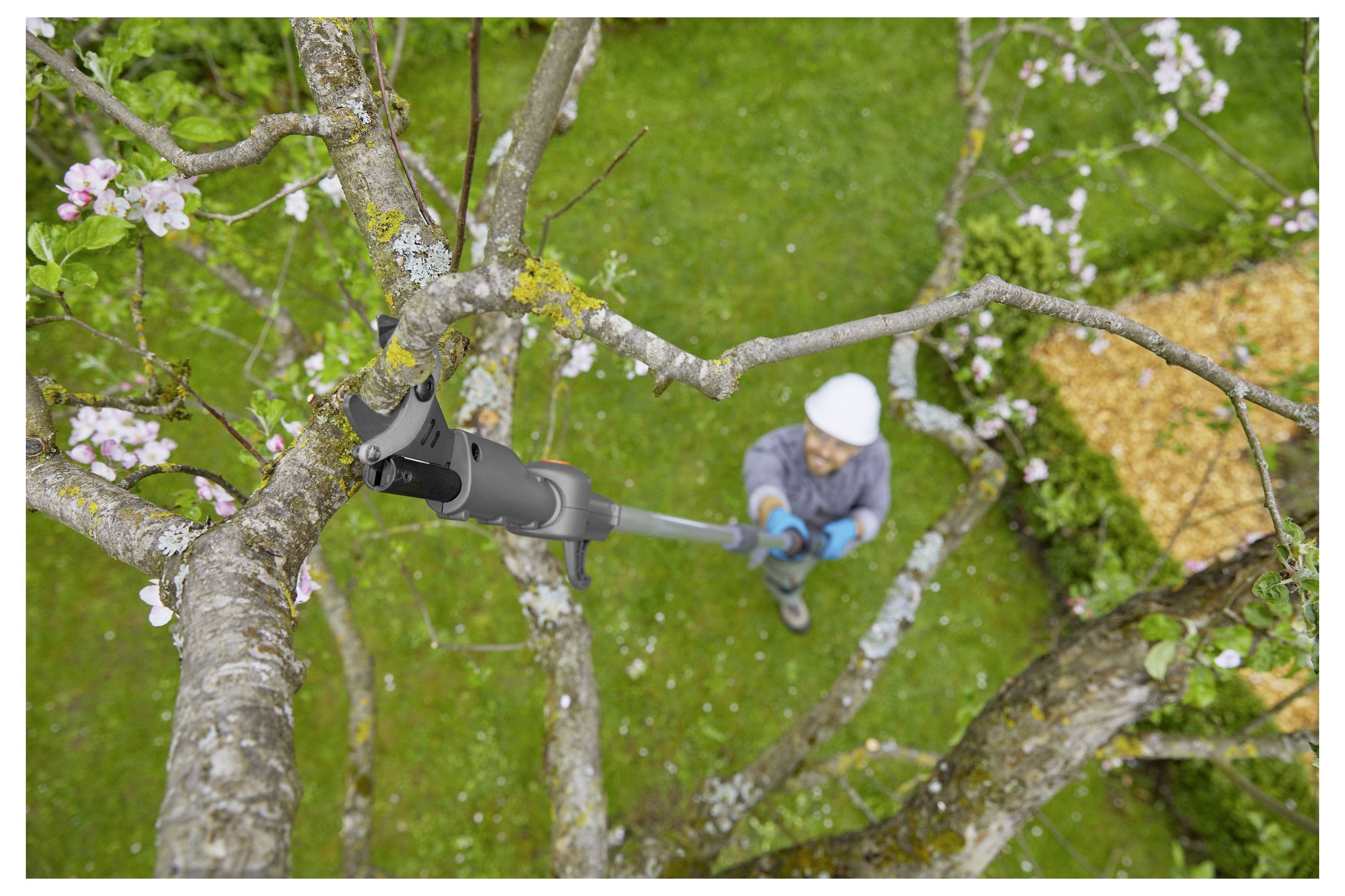 Eine Person in Schutzausrüstung verwendet eine Hochentaster, um Äste eines blühenden Baumes in einem Garten zu schneiden, von oben betrachtet.