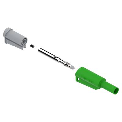 Electro PJP 1066-CD1-V Laborstecker Stecker, gerade Stift-Ø: 4 mm Grün 1 St. 