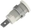 Electro PJP 3266-C-CD1-BC Sicherheits-Laborbuchse Buchse Stift-Ø: 4 mm Weiß 1 St. Piece