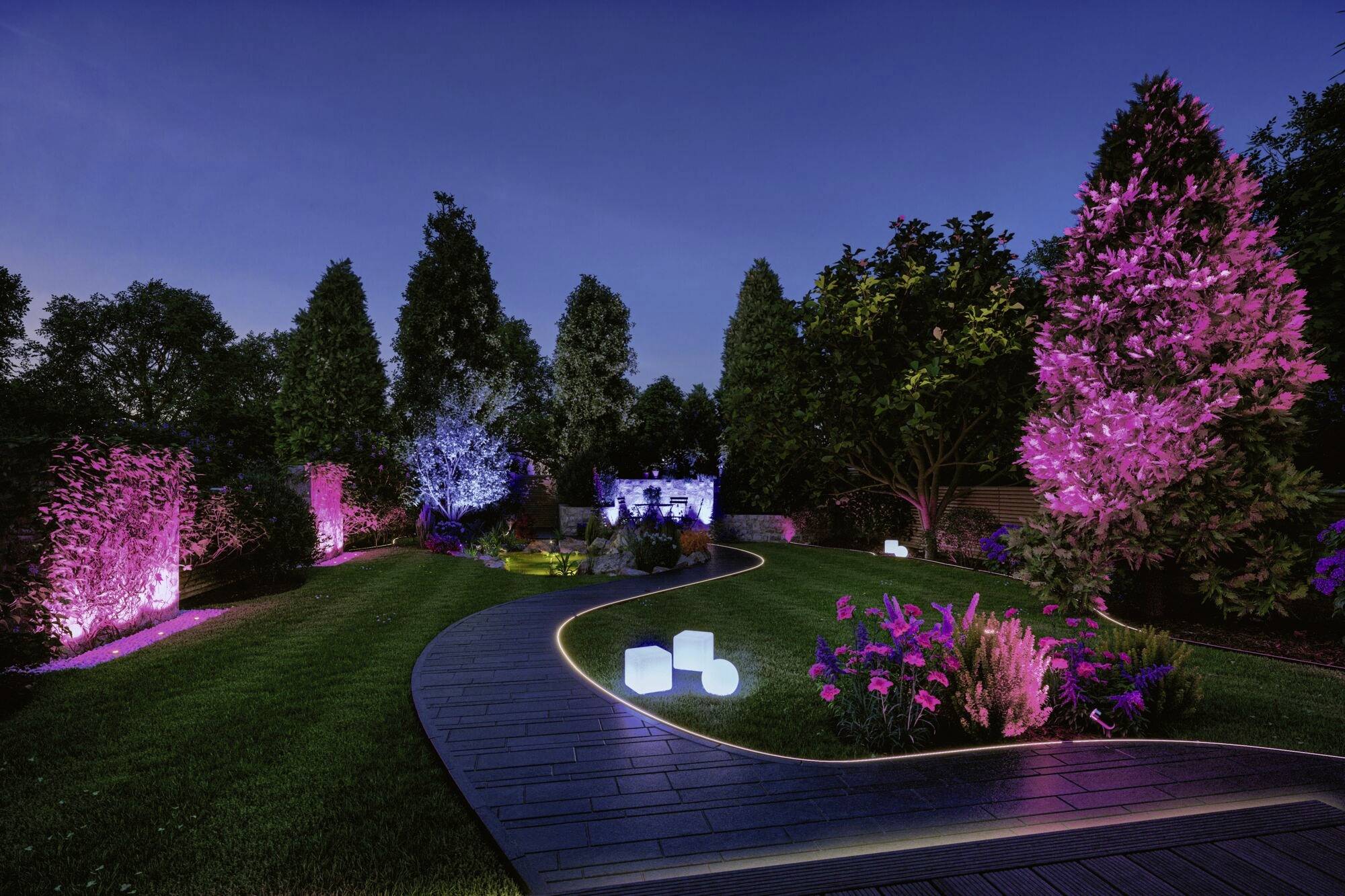 Gartenlandschaft bei Nacht mit buntem LED-Licht beleuchtet, geschwungener Weg, Bäume und Sträucher in Rosa und Blau.